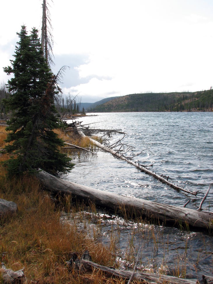 Grizzly Lake None