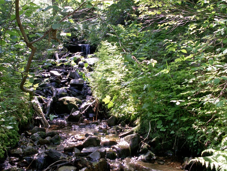 Grotto Stream None