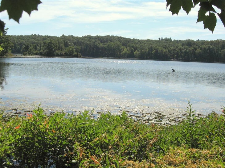 Grand Rapids, MI Hall Lake Trail