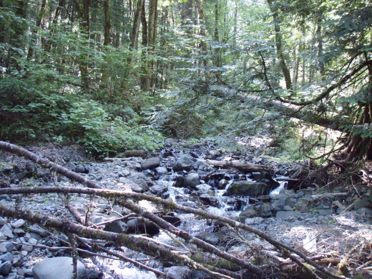 Harphan creek crossing None