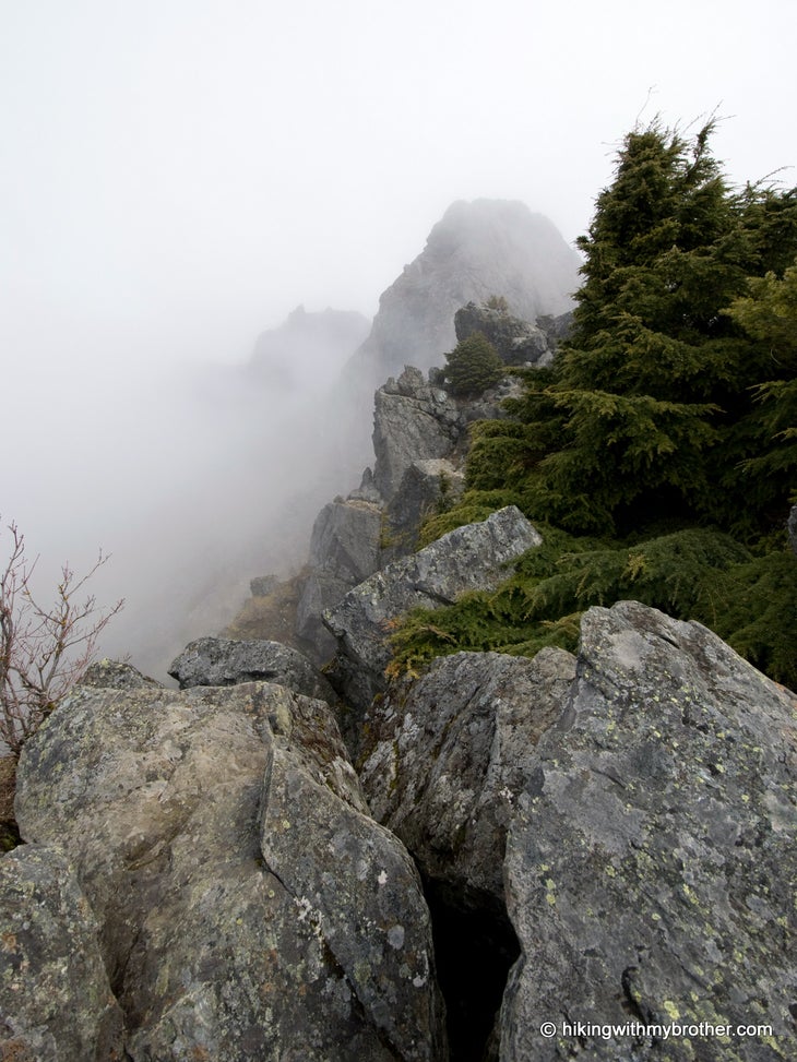 Haystack None