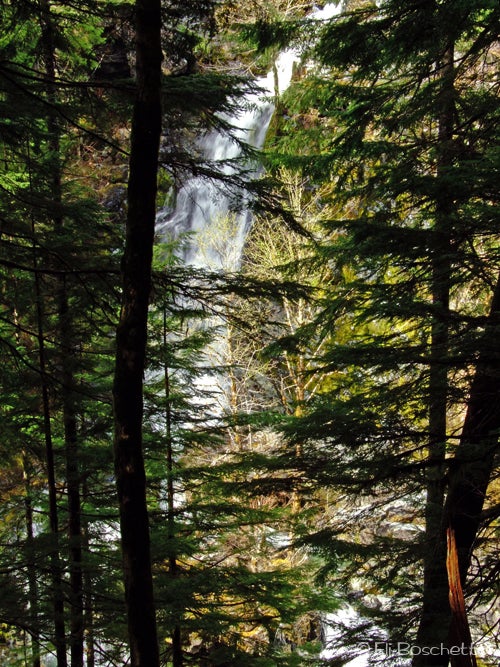 Hidden Falls None