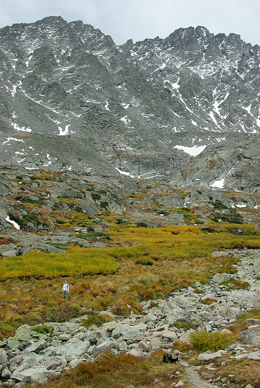 High-Alpine Meadow None