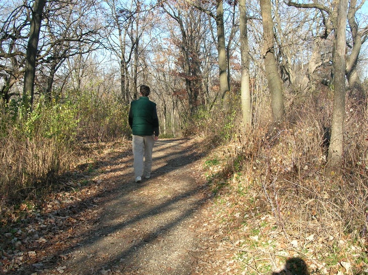 Hiking None