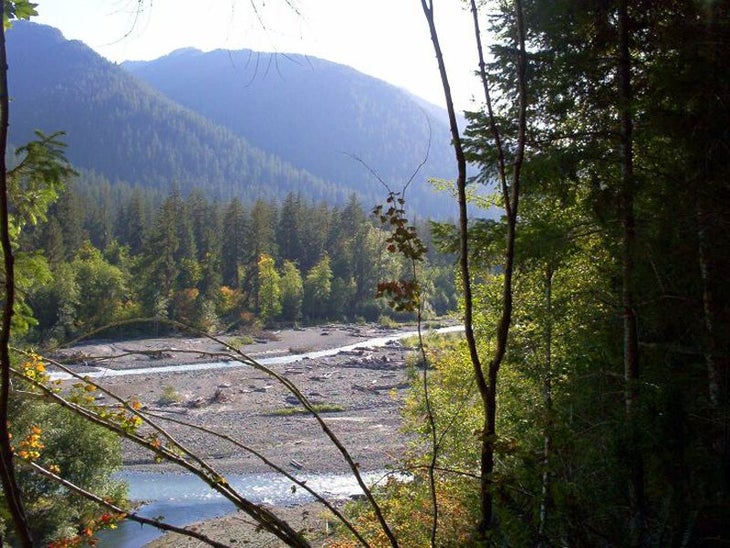 Hoh River None