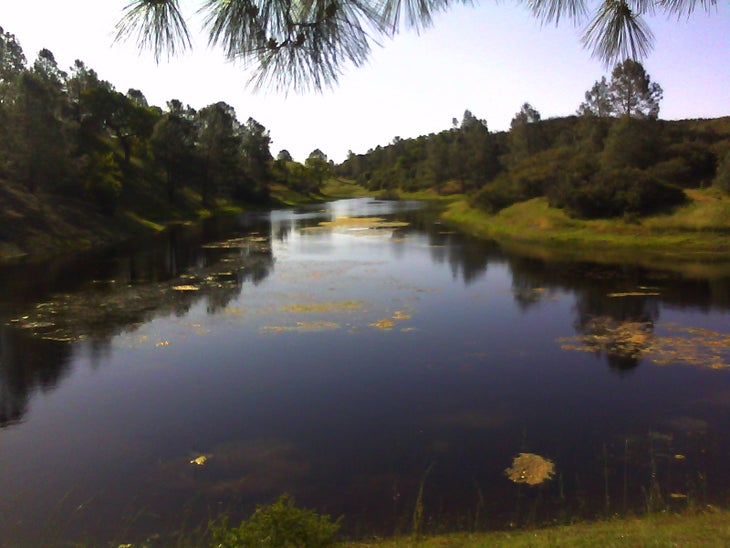 Hoover Lake North None