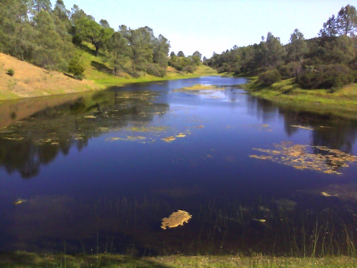 Hoover Lake South None