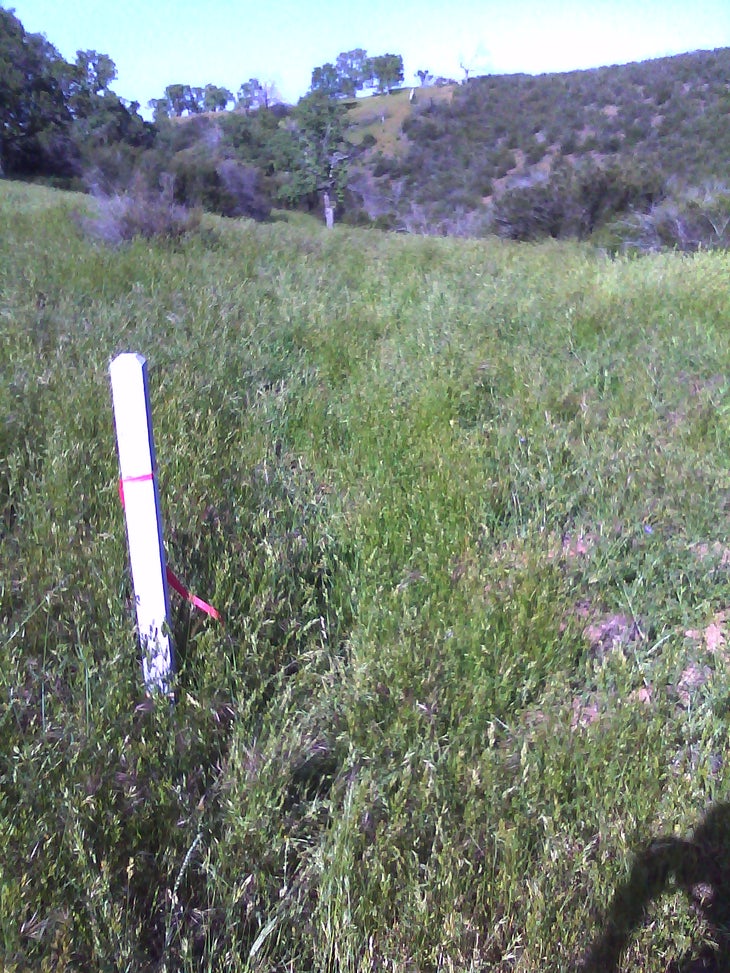 Hoover Lake Trail junction - unmarked None