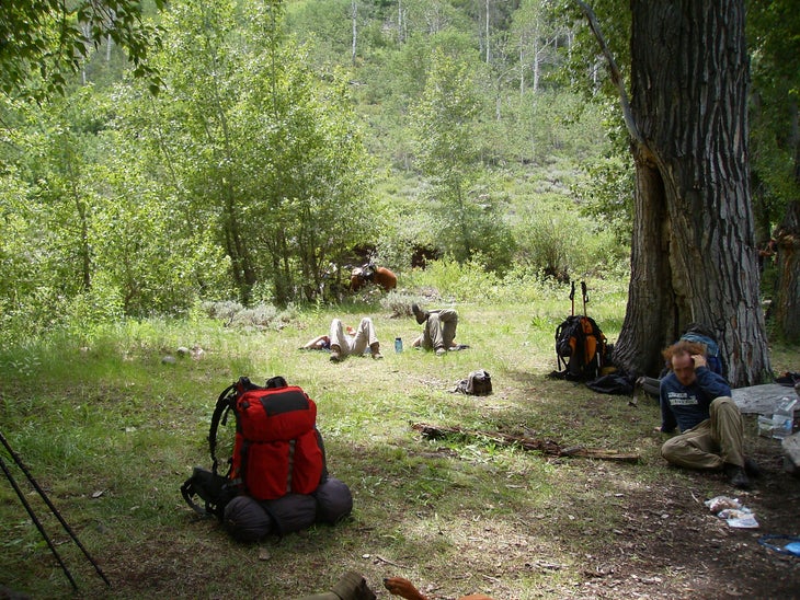 Horse Camp None