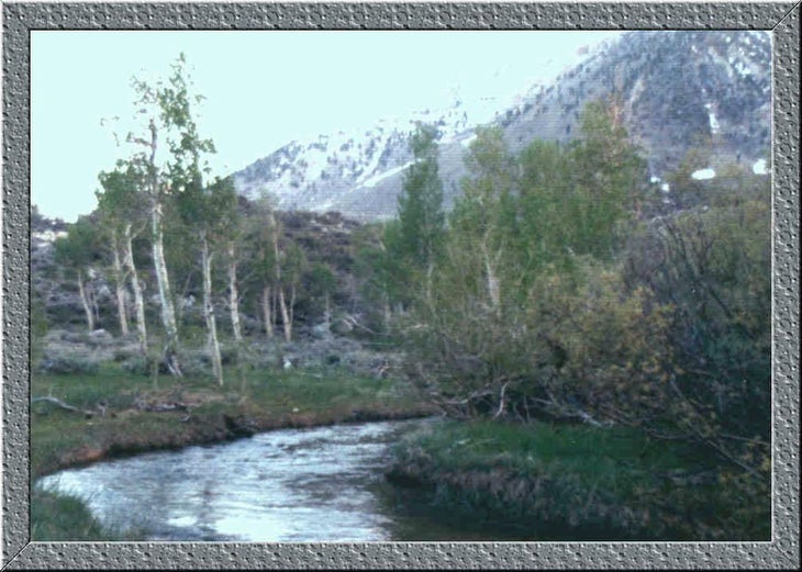 Horton Creek None