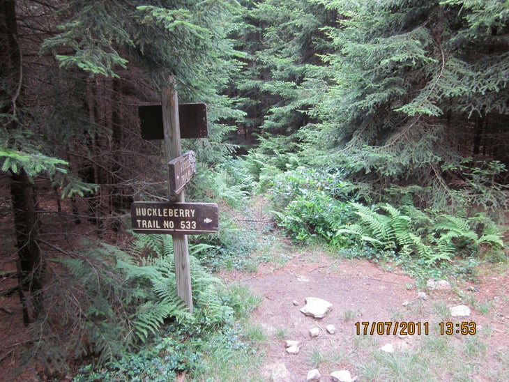 Huckleberry Turn None