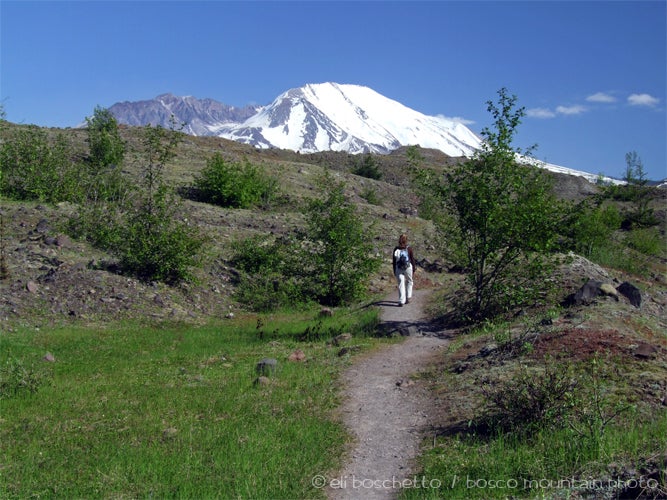 Hummocks Trail None
