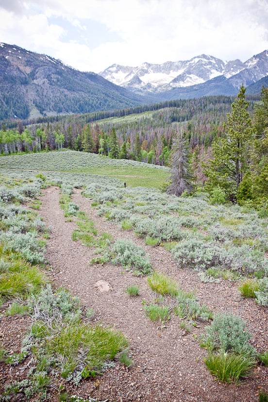 Hunter Creek Trail None