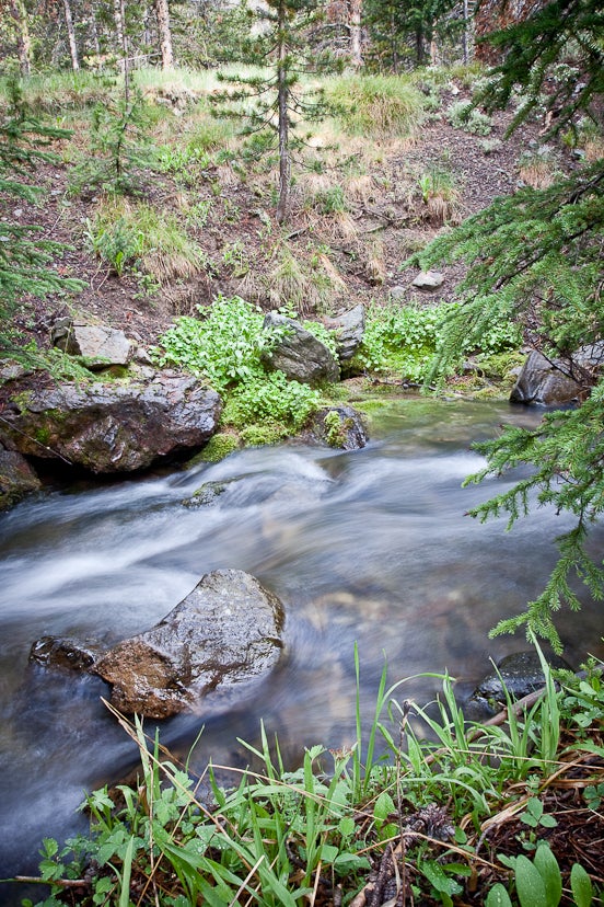 Hunter Creek None