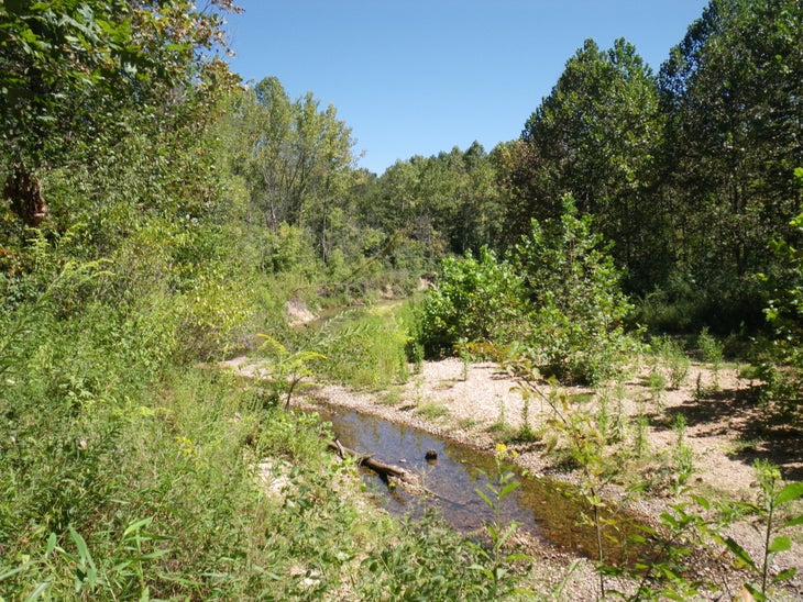 Hutchins Creek None