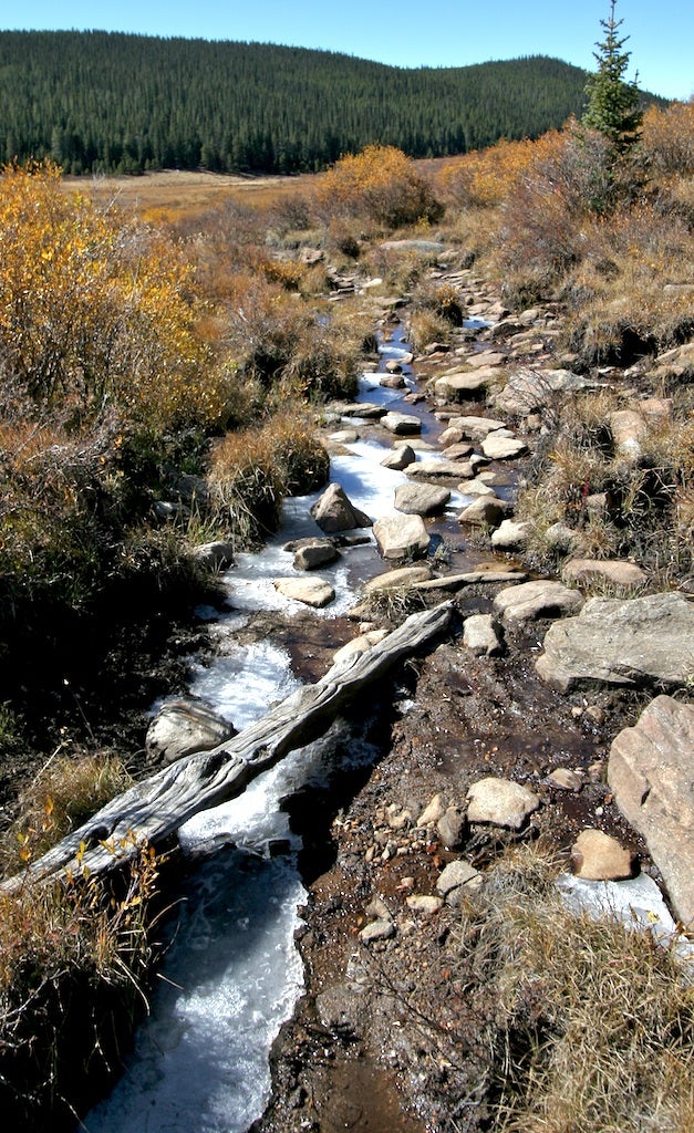 Ice covers a small stream None