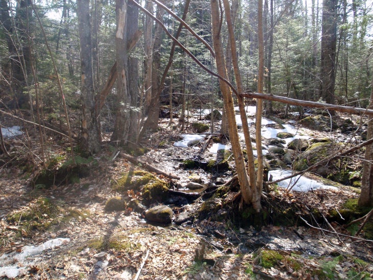 Imp Trail South Junction None