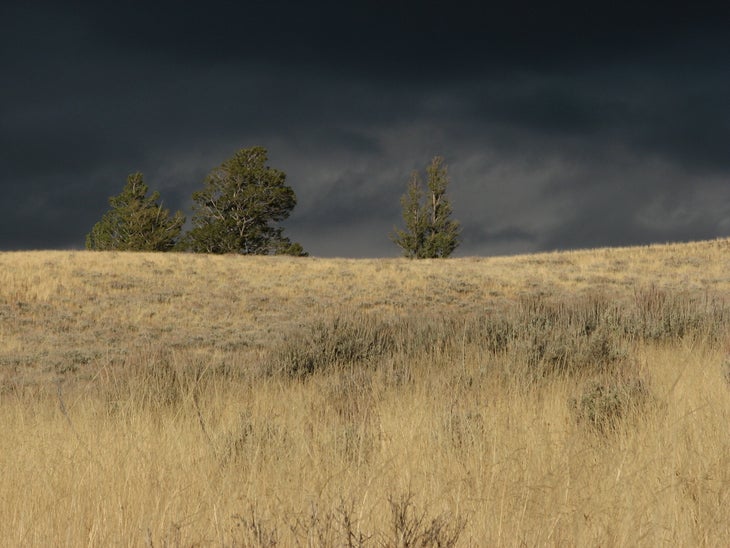 Incoming Storm None