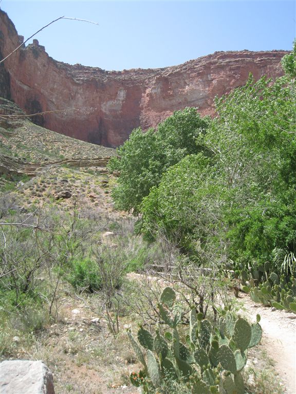 Indian Gardens Campground None