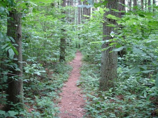 Wildcat Hollow Hiking Trail Columbus, Oh: Wildcat Hollow Hiking Trail
