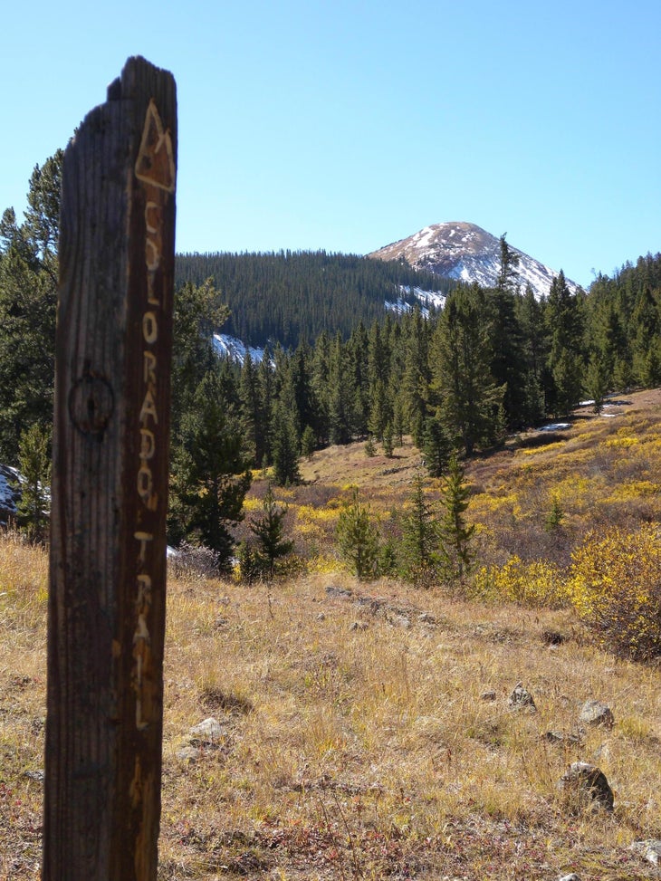 Jacque Ridge None