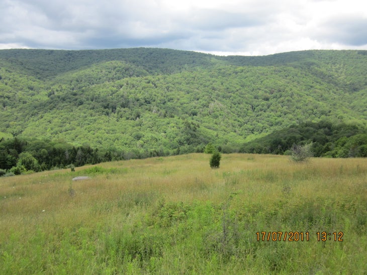 Judy Spring Trail Vista None