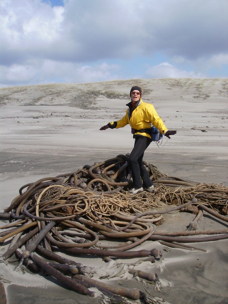 Kelp None