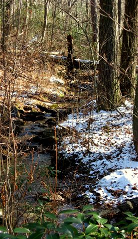 Kings Gap Hollow Run None