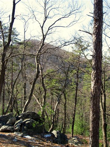 Kings Gap Hollow View None