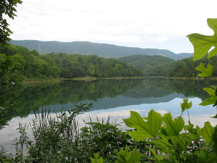 Lake Robertson None