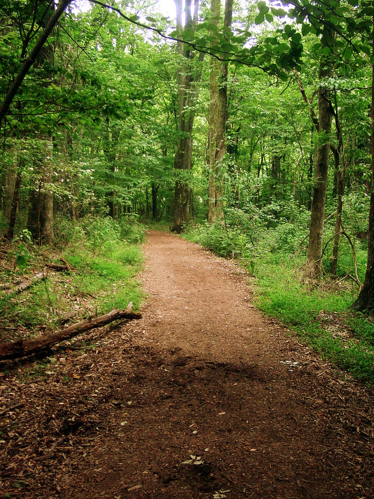 Lake Trail None