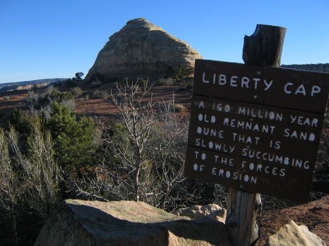 Liberty Cap None