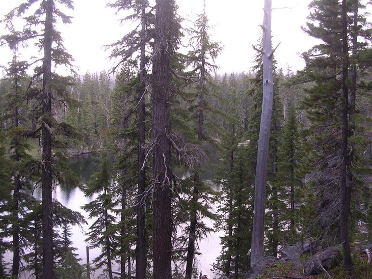 Lils Lake None