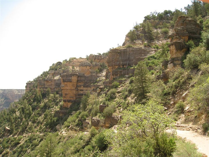Limestone None