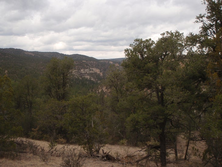 Little Bear Canyon None