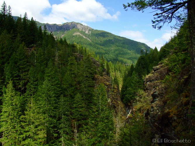 Little North Santiam River Gorge None