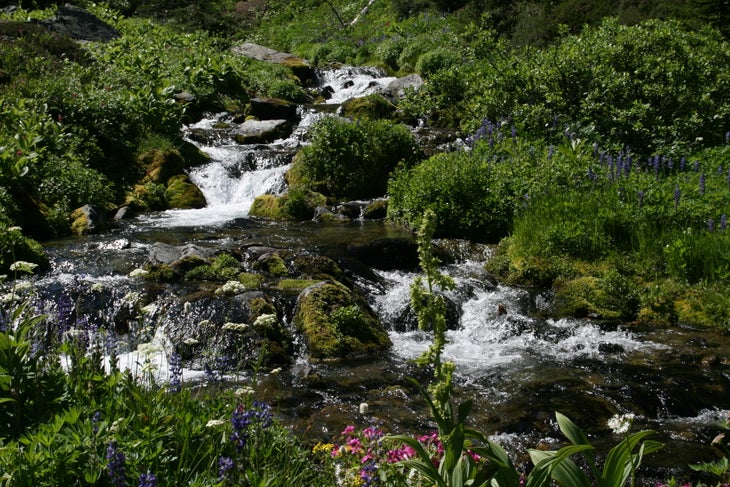 Lodi Creek None