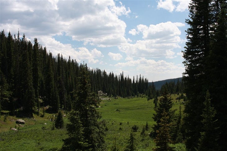 Long Meadows None