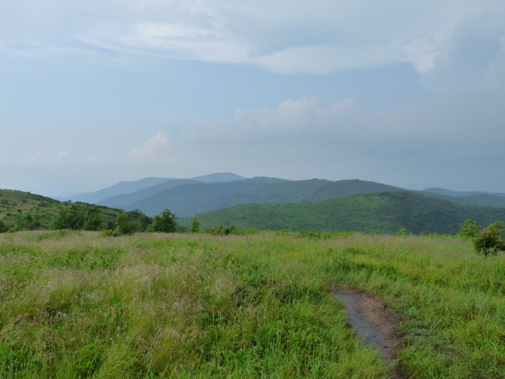 Looking North None