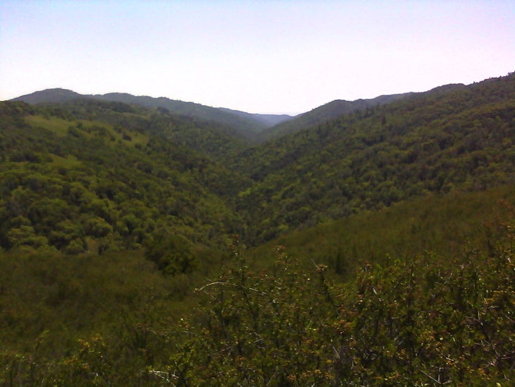 Looking out over Henry Coe ridgelines None