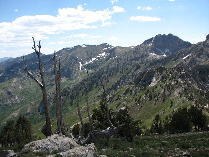Looking South None