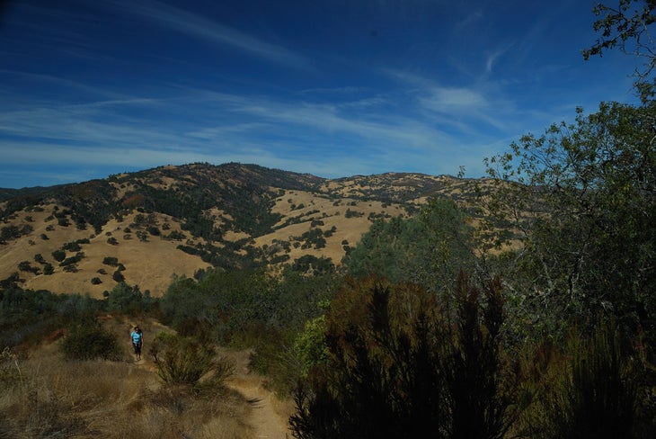 Looking West None