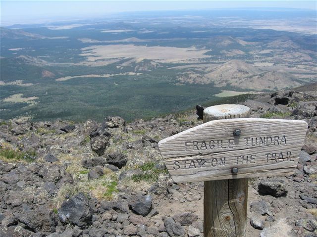 Loose tundra sign None