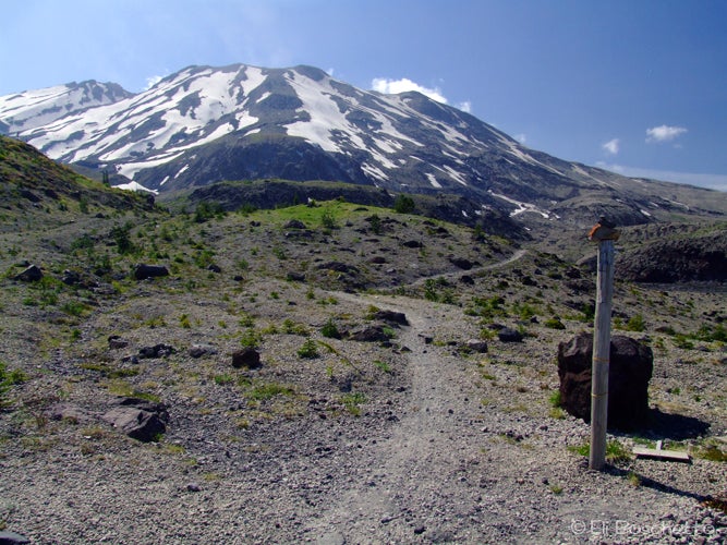 Loowit Trail None
