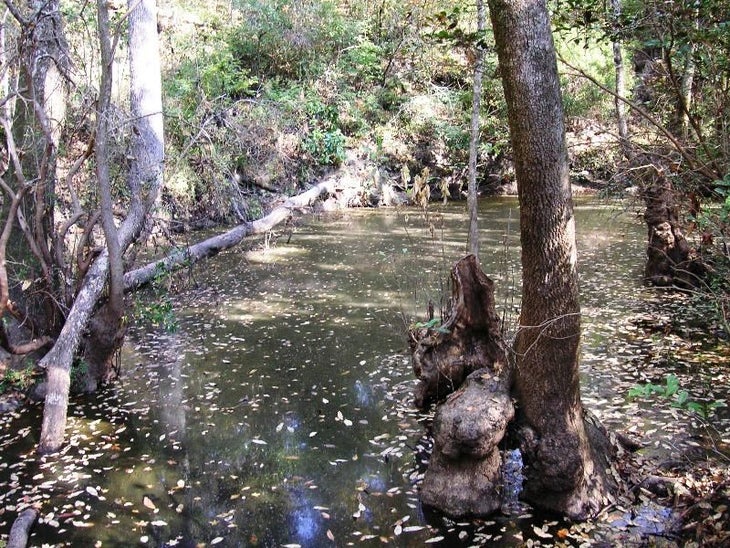 Lost Stream None