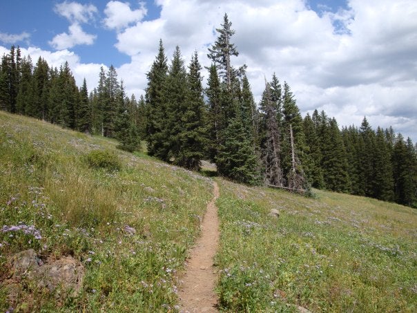 Lower Crag Crest Trail None