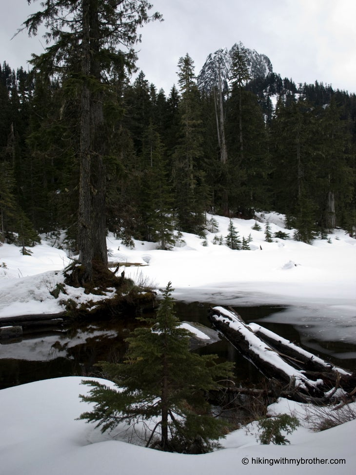 Lower Lake Blethen None