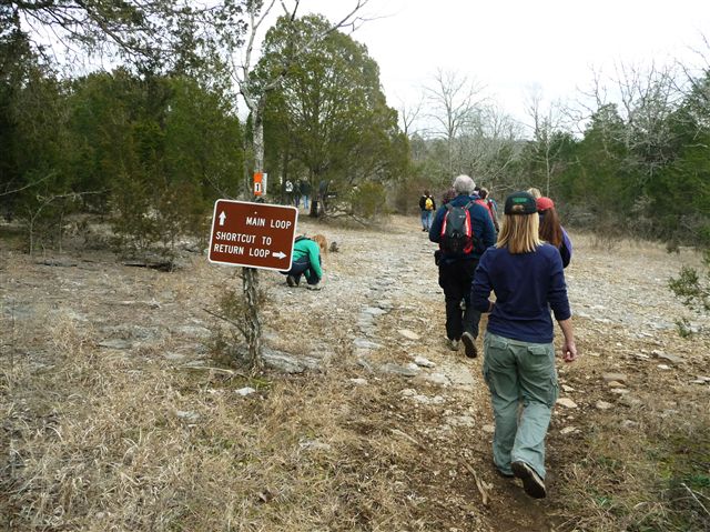 Main Loop or Shortcut None