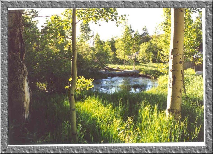 Meadow Near Sonny Boy Cabin None