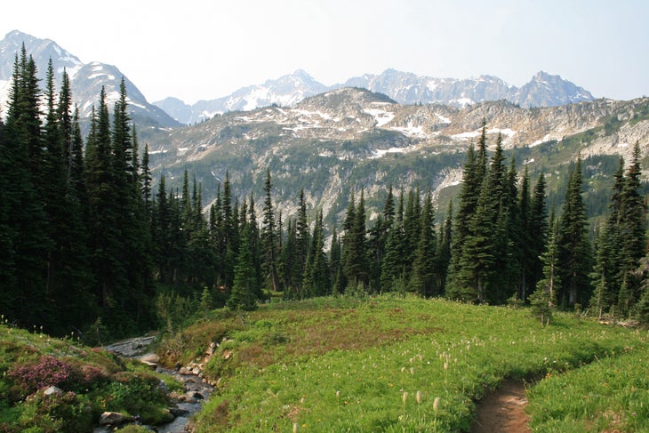 Meadow views None